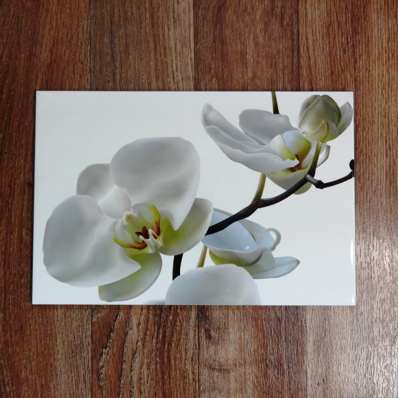 Керамічна фотоплитка біла Орхідея, фото 1