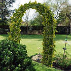 Садова пергола арка Greenmill 240 см, фото 2