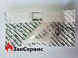 Сифон на конденсаційні котли Ariston 60000987-01, фото 7