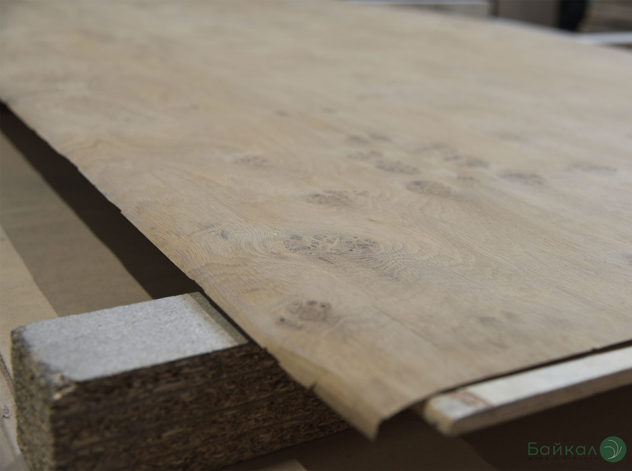 Сорочка зі шпону капу Дуба — АВ ґатунок, singl, 0,6 мм 2,44 м/1,22 м, фото 1