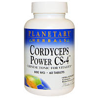 Planetary Herbals, Cordyceps Кордицепс Power CS-4, 800 mg, 60 Tablets