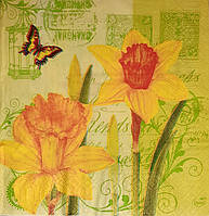 Серветка для декупажу ЦИ-14, 33х33см