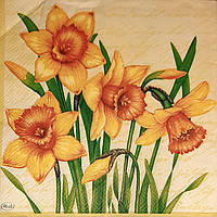 Серветка для декупажу ЦИ-17, 33х33см