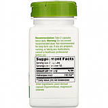 Корінь гортензії, Nature's Way, 370 мг, 100 вегетаріанських капсул, фото 2