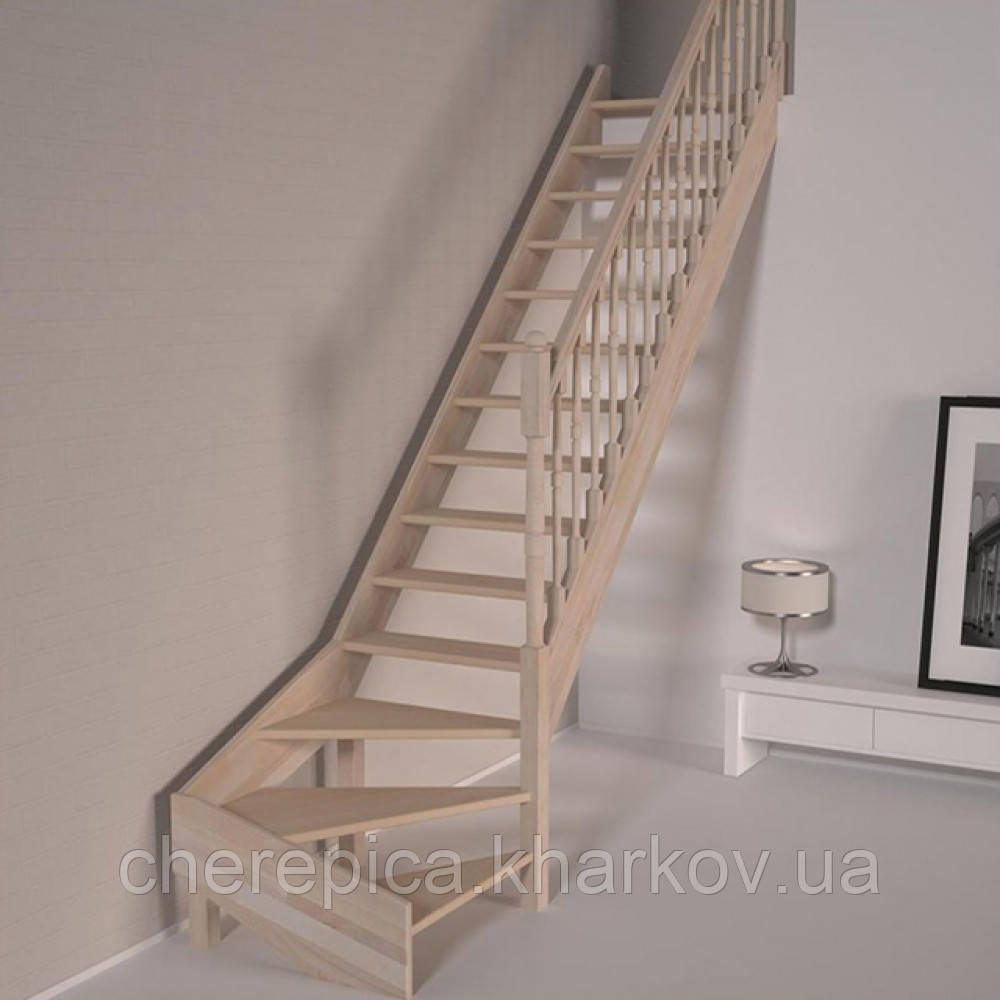 Дерев'яні сходи DOLLE Savoie T забежная, фото 1