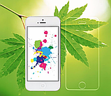 Apple iPhone 6 + Захисне Скло 4D для дисплея, екрана, матриці телефона, білий колір, фото 2