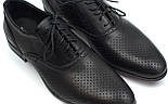 Туфлі літні шкіряні класичні перфорація чоловіче взуття великий розмір Rosso Avangard BS Felicite BlackPerf, фото 8