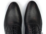 Туфлі літні шкіряні класичні перфорація чоловіче взуття великий розмір Rosso Avangard BS Felicite BlackPerf, фото 9