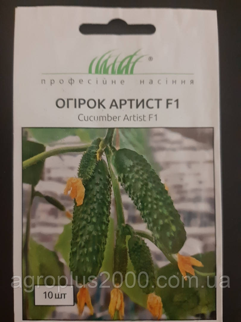 Насіння Огірок самозапильний Артист F1, 10 насінин Bejo Zaden