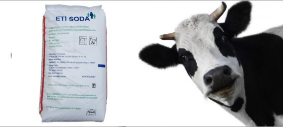 Кормова сода для корів, свиней і птиці