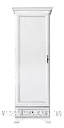 Пенал Кентукі REG 1D 1S (N) БРВ 2100х695х440мм білий альпійський, фото 1