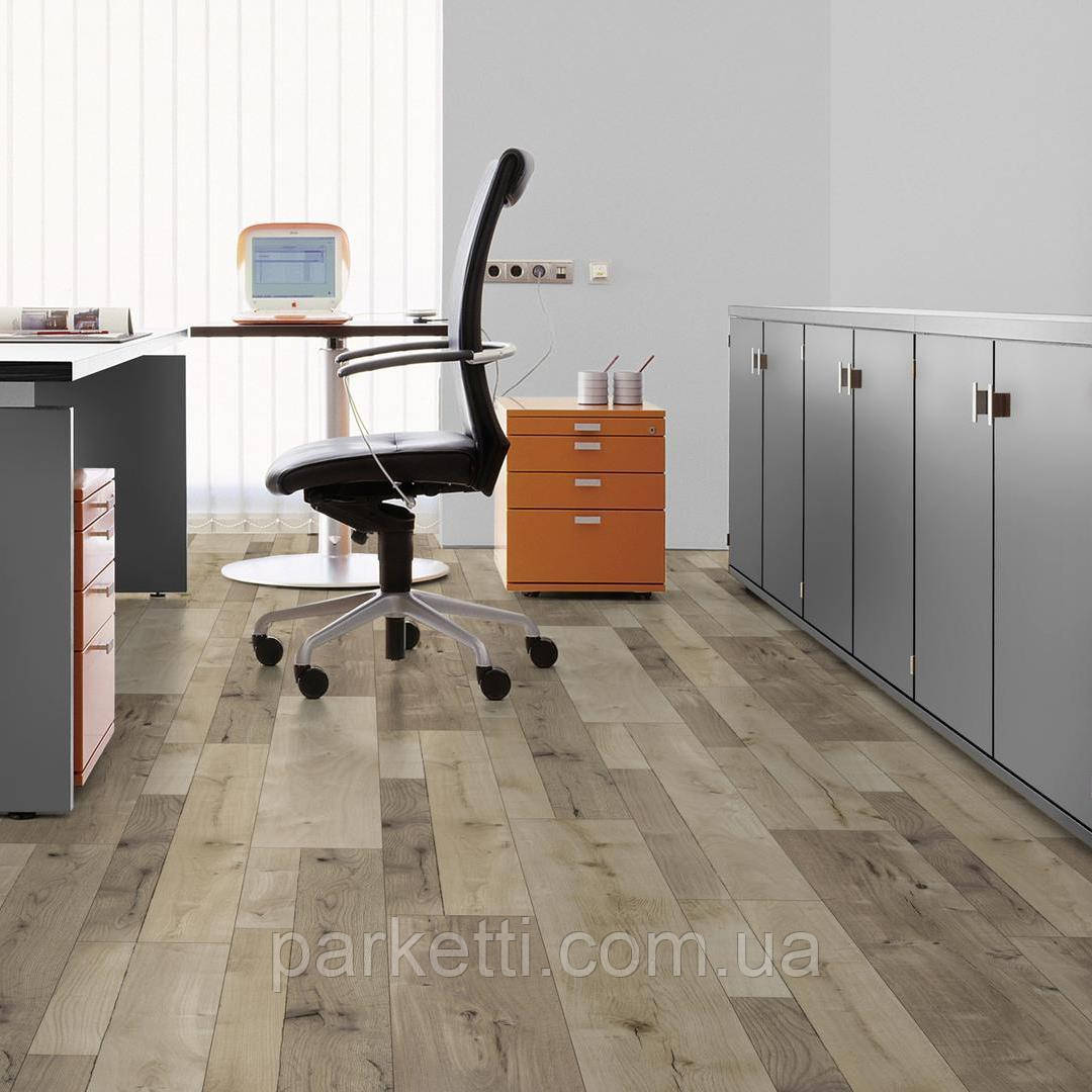 Kaindl K4361 Дуб Фарко Тренд (Farco Oak Trend) 4V ламінат, фото 1