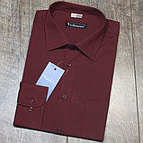 Бордова чоловіча сорочка з довгим рукавом, фото 2