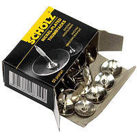 Кнопки канцелярські Scholz 50 шт (4831)