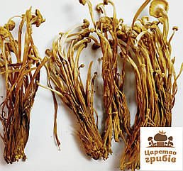 Сушені гриби Фламуліна (Єнокі) 100 гр