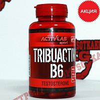 Трібулус: Activlab Tribuactiv B6 || 90 капс