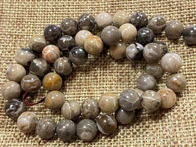 Купить Окаменелый коралл 8мм, цена 449 грн — Prom.ua (ID#1188195296)