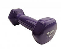Гантель цельная для фитнеса Profi M 0289(Violet) с виниловым покрытием, 1 кг, фиолетовый