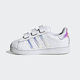 Дитячі кросівки Adidas Superstar CF I (Артикул:FV3657), фото 2