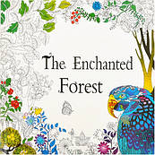 Розмальовка В4-антистрес The Enchanted Forest 12 стор.