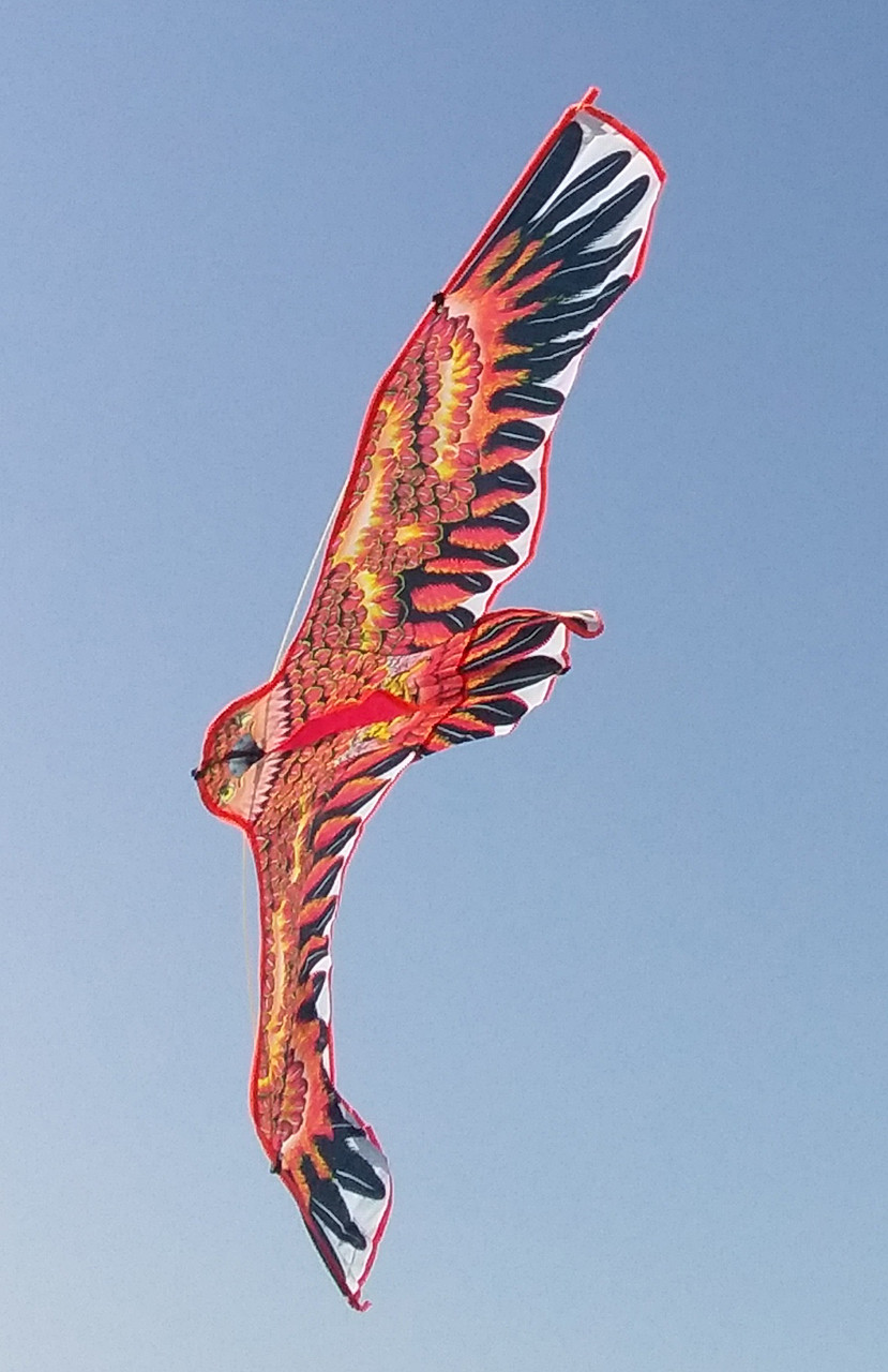 Воздушный змей Орел Сокол - фото 3 - id-p1188391654