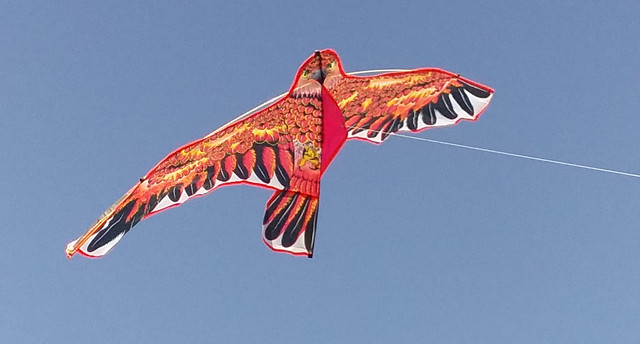 Воздушный змей орел сокол