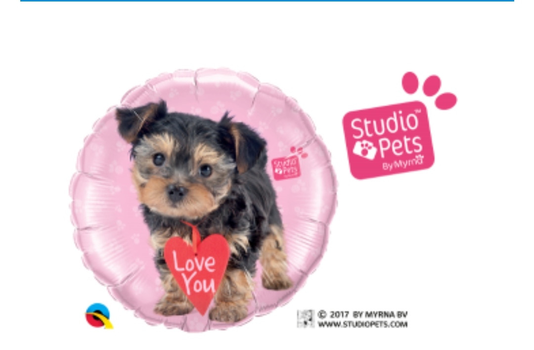 Q 18" Studio Pets — Love You Terrier (Студія Животних — Тер'єр "Я тебе Люблю"), В УП
