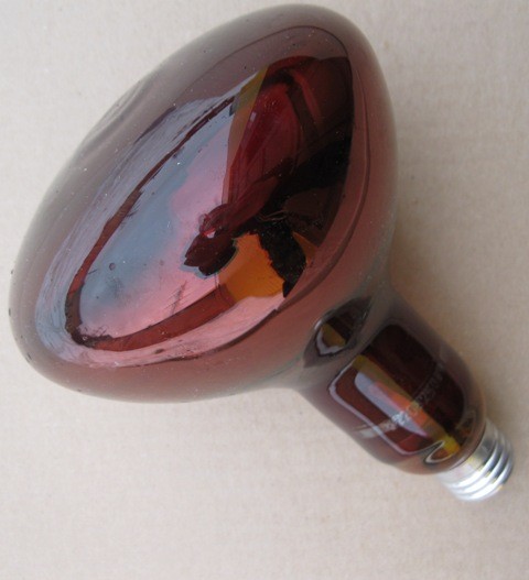 Инфракрасные лампы обогрева молодняка ИКЗК 250 (Красная) - фото 2 - id-p13618616