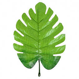 Лист монстери зелений з петелькою 16 см (20 шт в уп)