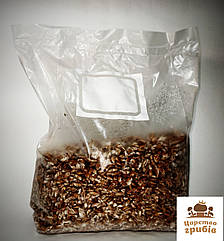 Міцеля зернової Фламуліни, Єнокі (Flammulina velutipes) 1 кг.