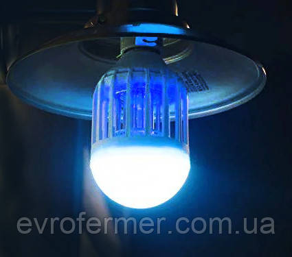 Антимоскитная светодиодная лампочка Noveen IKN803 LED - фото 4 - id-p1188636898