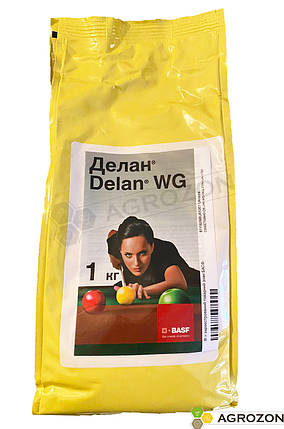 Фунгіцид Делан BASF - 1 кг, фото 2