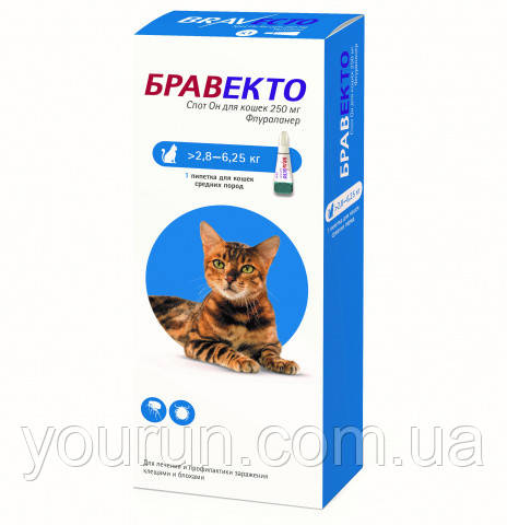 BRAVECTO (Бравекто) SPOT-ON (СПОТ-ОН) краплі від бліх та кліщів для собак вагою від 2.8 - 6.25 кг, 1 піпетка