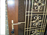 Вхідна євродвер із склопакетом і кованою решіткою (ціна без вартості решітки), фото 3