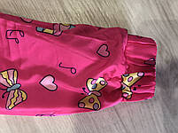 Вітровка на фліс для дівчаток оптом, S&D, 1-5 років, арт. KK-1067, фото 6