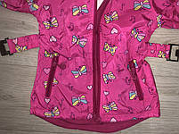 Вітровка на фліс для дівчаток оптом, S&D, 1-5 років, арт. KK-1067, фото 3