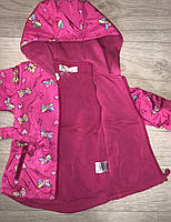 Вітровка на фліс для дівчаток оптом, S&D, 1-5 років, арт. KK-1067, фото 4