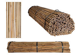 Бамбукова опора діам. 20-22 мм, L 2,5м