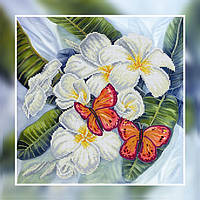 Вишивка бісером Метелики (Тварини та птахи)