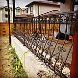 Ковані перила для тераси АРТ ПК No 46, фото 2
