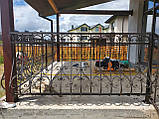 Ковані перила для тераси АРТ ПК No 46, фото 5