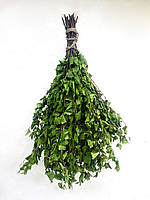 Віник для лазні та сауни березовий PRO (Поштучно)