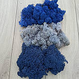 Стабілізований мох (ягель) 500 г, фото 3