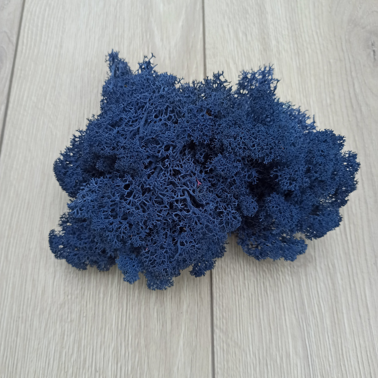 Стабілізований мох (ягель) 500 г, фото 1