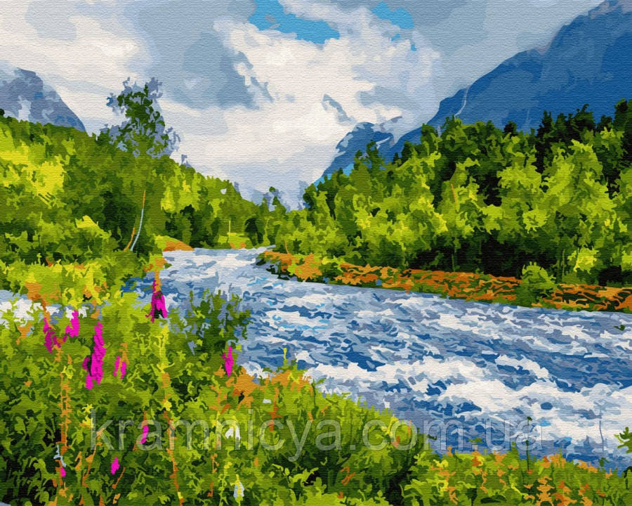 Картина за номерами 40x50 Бурхлива річка, Rainbow Art (GX27397)