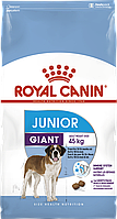 АКЦІЯ! Royal Сanin Giant Junior сухий корм для цуценят до 8 місяців 15КГ+3КГ у подарунок