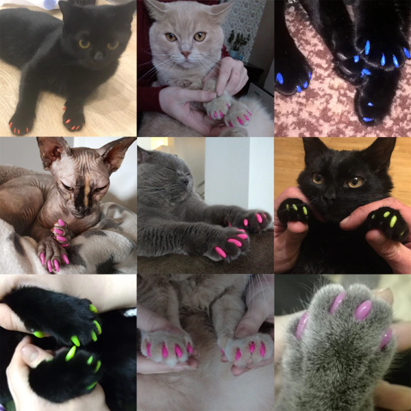антицарапки для котов, колпачки на когти, защитные колпачки для котов