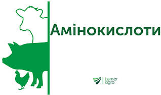 Амінокислоти