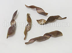 Сухоцвіт-стручки гліцинії натуральні (1уп — 5 шт.)