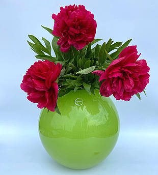 Декоративна скляна ваза ручної роботи "Ові"